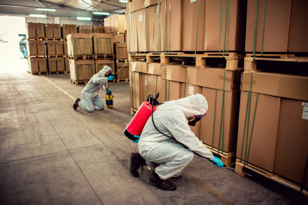 Best Best Pest Control Companies  in Westwood, KS