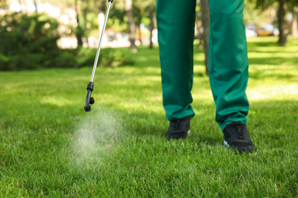 Best Termite Control Services  in Westwood, KS