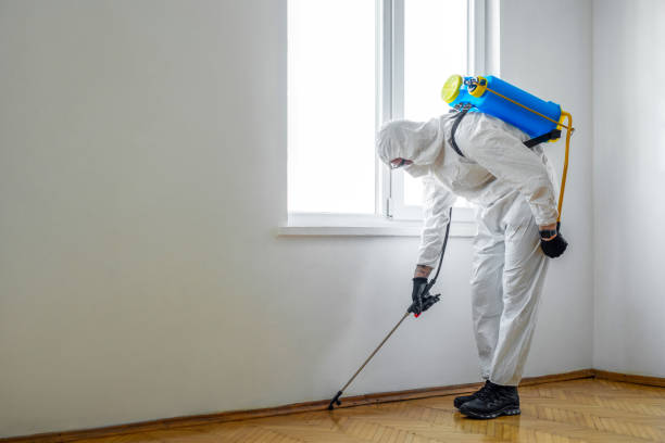 Best Local Pest Control Services  in Westwood, KS