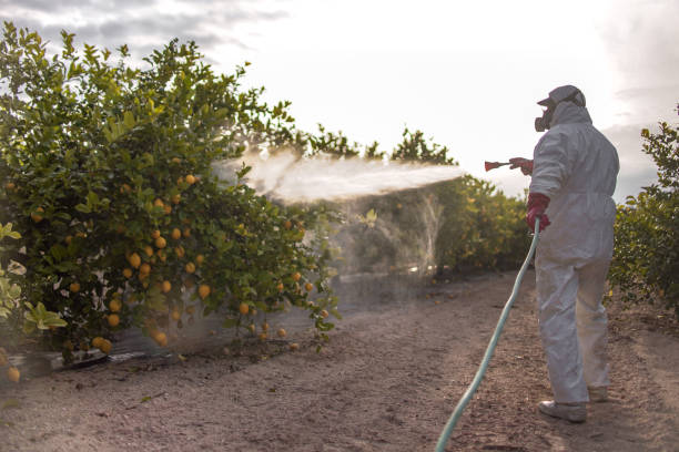 Best Emergency Pest Control  in Westwood, KS