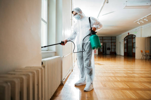 Best Local Pest Control Services  in Westwood, KS