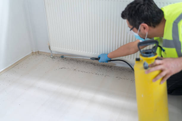 Best Mosquito Control Services  in Westwood, KS