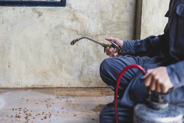 Best Pest Control Cost  in Westwood, KS