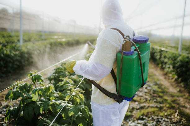 Pest Control for Restaurants in Westwood, KS